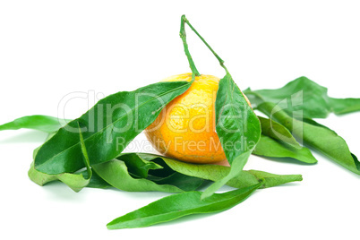 mandarin with green leaves isolated on white