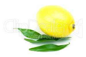lemon with green leaf isolated on white
