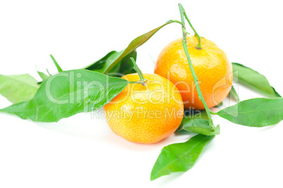 mandarin with green leaves isolated on white