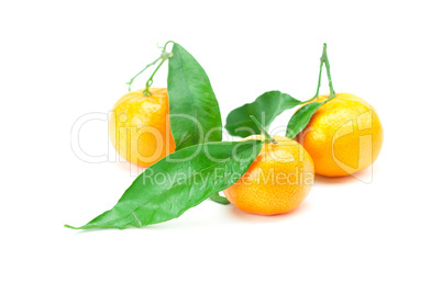 mandarin with green leaves isolated on white