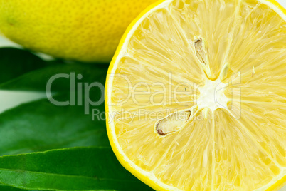 lemon with green leaf isolated on white