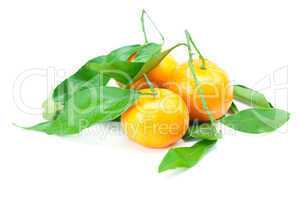 mandarin with green leaves isolated on white