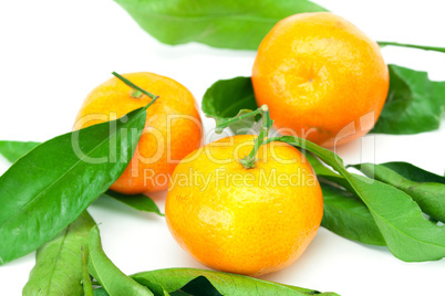 mandarin with green leaves isolated on white