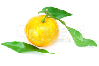 mandarin with green leaves isolated on white