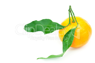 mandarin with green leaves isolated on white