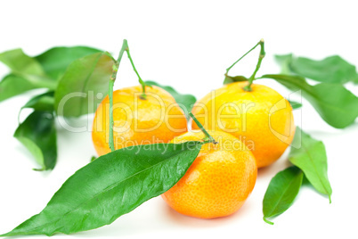 mandarin with green leaves isolated on white