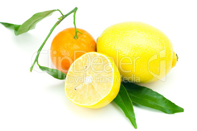 lemon and mandarin with green leaves isolated on white