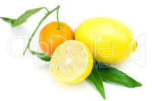 lemon and mandarin with green leaves isolated on white