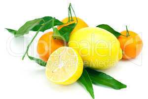lemon and mandarin with green leaves isolated on white