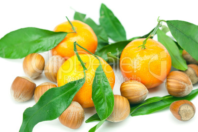 mandarin with green leaves and nuts  isolated on white