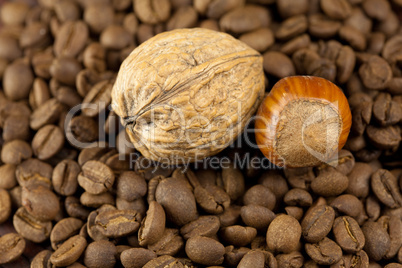 background of the coffee beans, hazelnuts and walnuts