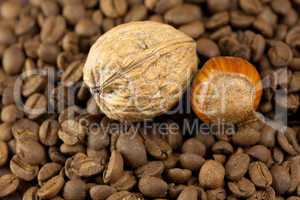background of the coffee beans, hazelnuts and walnuts
