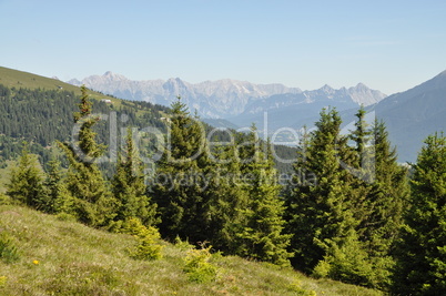 Blick zu den Mieminger Alpen