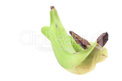 a large green plantains isolated on white