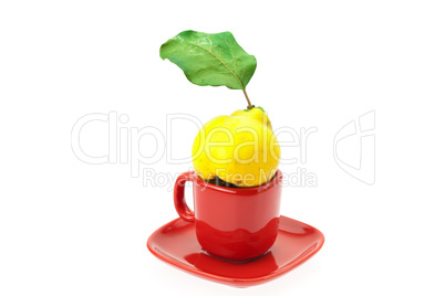 yellow quinces with green leaves in a cup isolated on white