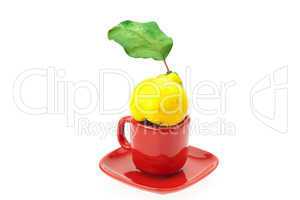 yellow quinces with green leaves in a cup isolated on white