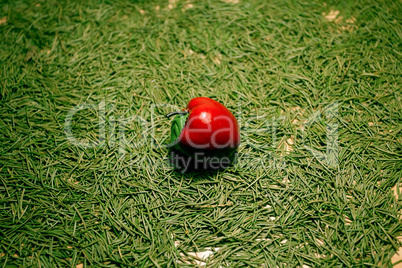 background of the Christmas tree needles and apples lying on the