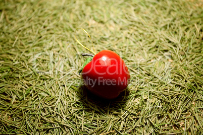 background of the Christmas tree needles and apples lying on the