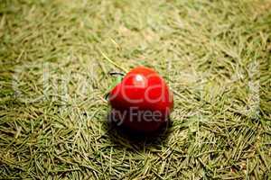 background of the Christmas tree needles and apples lying on the