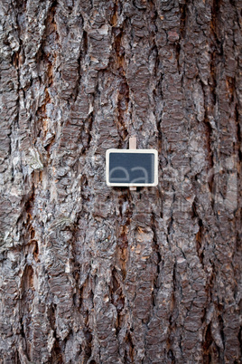 background of tree bark and blackboard
