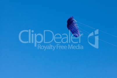 kite flying on the background blue sky