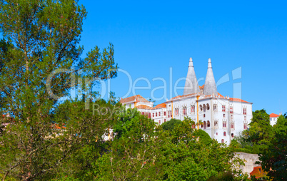 The Sintra National Palace