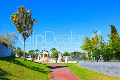 A city park with trees