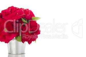 Red Roses in a pail