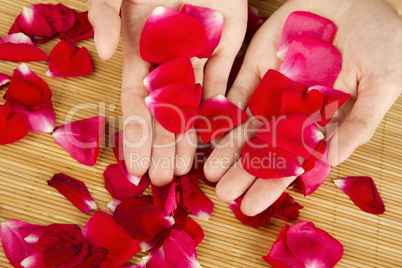 Hands on rose petals