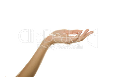 Hand Open Hand Open
