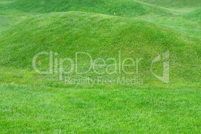 Close up image of fresh spring green grass