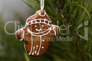 Christmas Toy gingerbread man hanging from a tree