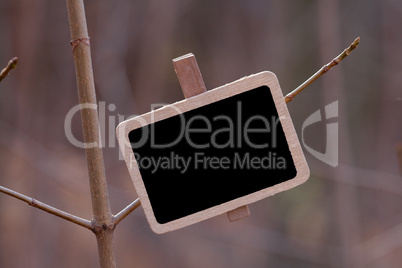 blackboard attached to a tree branch in the forest