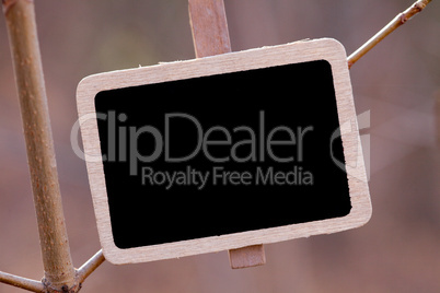 blackboard attached to a tree branch in the forest