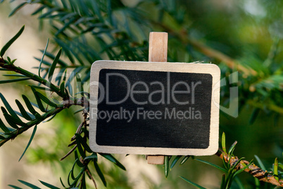 blackboard attached to a tree branch in the forest