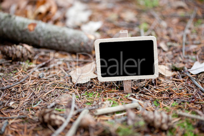 blackboard attached to a tree branch in the forest