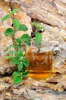 Tee mit Aztekischen Süßkraut (Lippa Dulcis) als Zuckerersatz