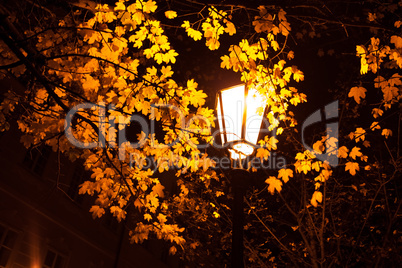 a beautiful night view of the street in Prague