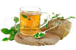 Tee mit Aztekischen Süßkraut (Lippa Dulcis) als Zuckerersatz