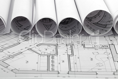 rolls of architecture blueprint & house plane