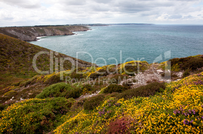 Klippen und Küste am Cap Frehel