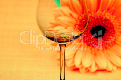 conceptually illuminated glass of wine on the background of a fl