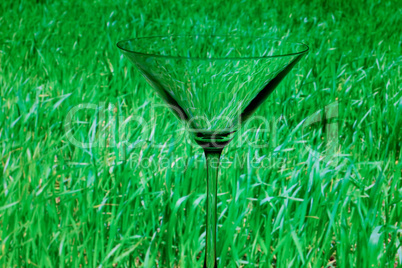 conceptually illuminated martini glass on a background of green