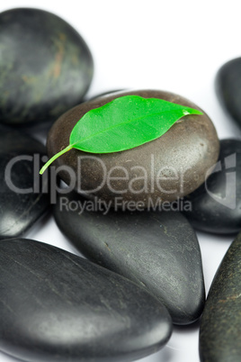 black spa stones   with green leaf and a drop of water isolated