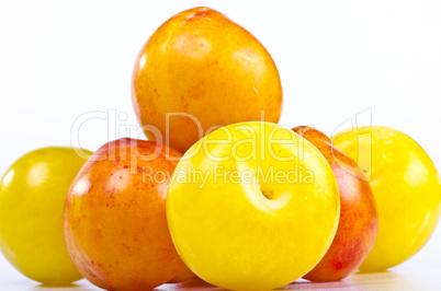 apricots