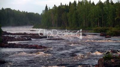 rough river flows through the forest