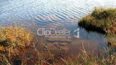 ripples on a lake, loop