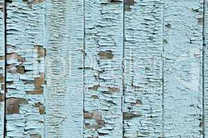 Texture of the old blue paint on wood