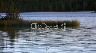 ripples on a lake, loop