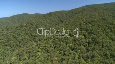 Aerial of rain forest canopy on mountain slope